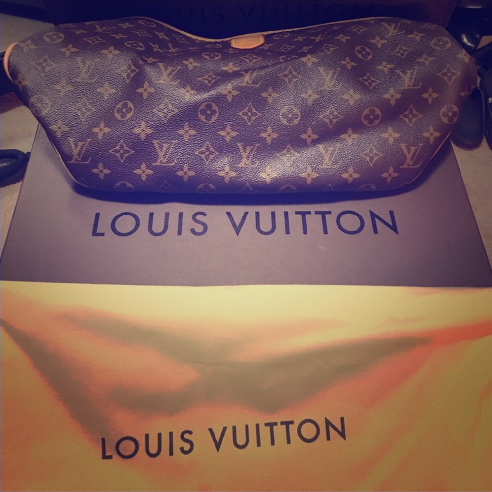 Authentic Louis Vuitton Delightful Handbag